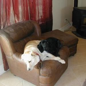 Meet your Posher, Sharon